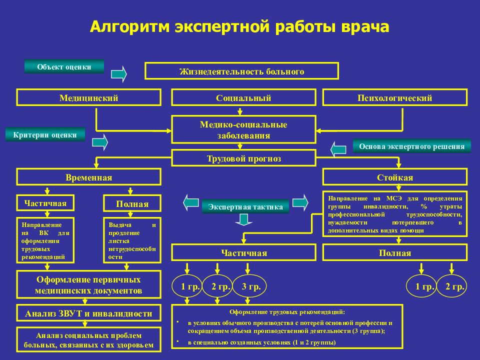 Данная форма представления социальной экспертизы фактически является альтернативным проектом