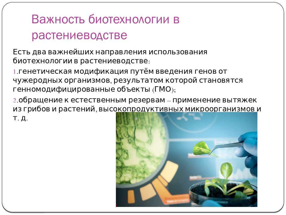 Биотехнология получения. Биотехнологии в растениеводстве. Достижения биотехнологии в растениеводстве. Важность биотехнологии в растениеводстве. Направление использования биотехнологии в растениеводстве.