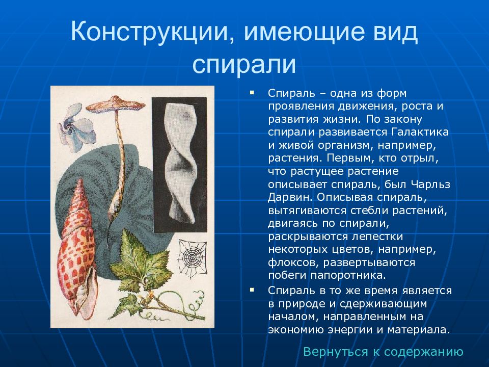 Конструкция имеющие. Бионика и живые организмы. Бионика растения. Бионика растения примеры. Бионика у животных и растений.