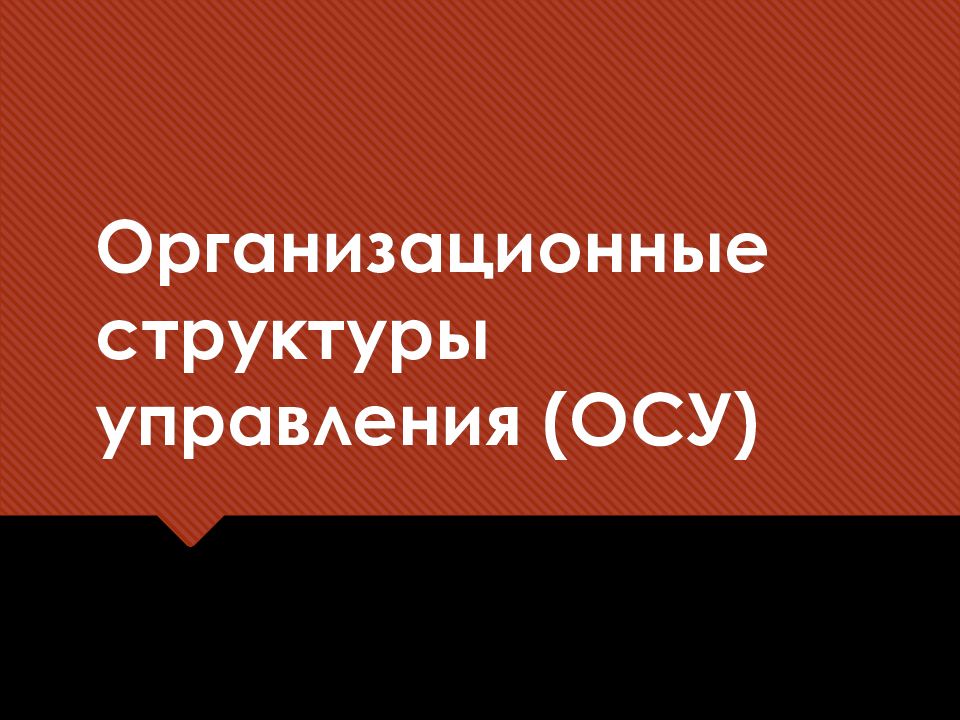 Организационные структуры управления (ОСУ)