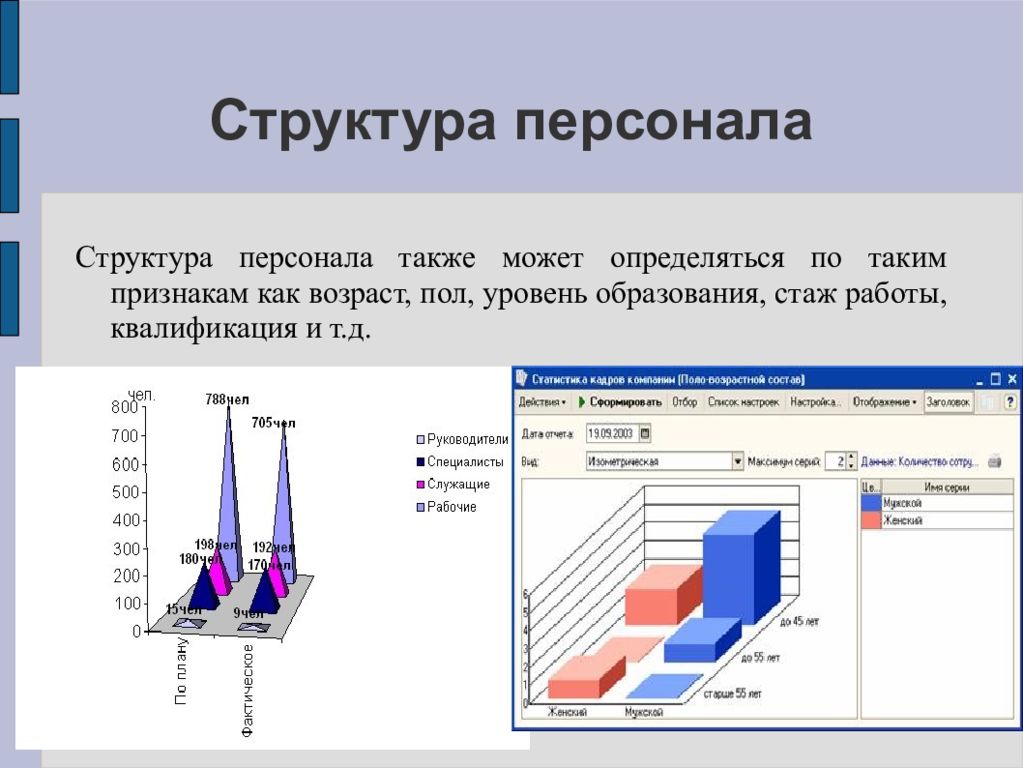 Статистика кадров. Структура персонала. Состав персонала определяется. Структура персонала по уровню образования. Определить структуру персонала.