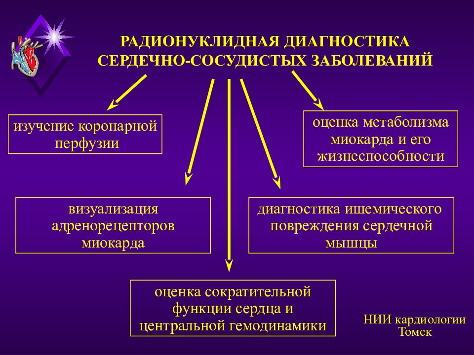 Методы обследования в кардиологии презентация