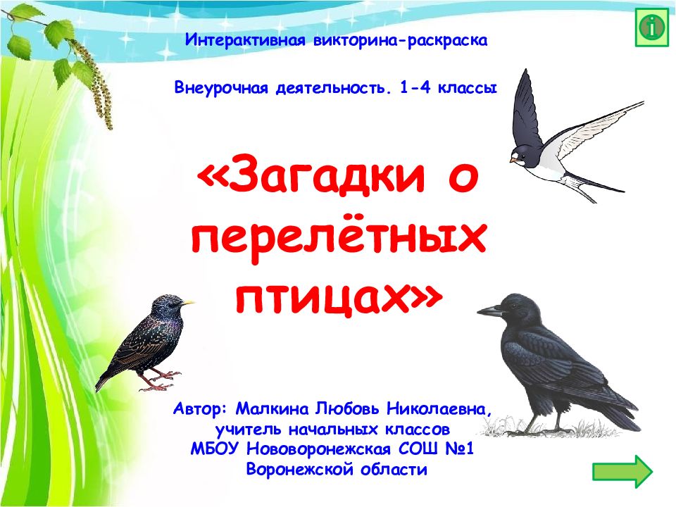 Внеурочная деятельность. 1-4 классы Автор: Малкина Любовь Николаевна, учитель