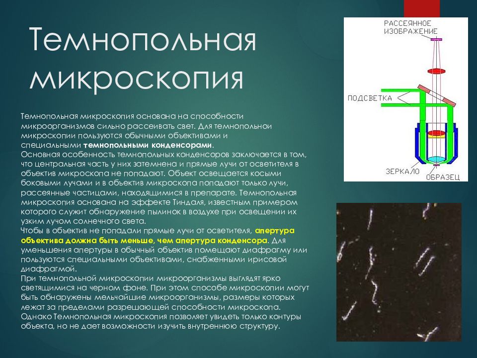 Микроскопия принцип метода