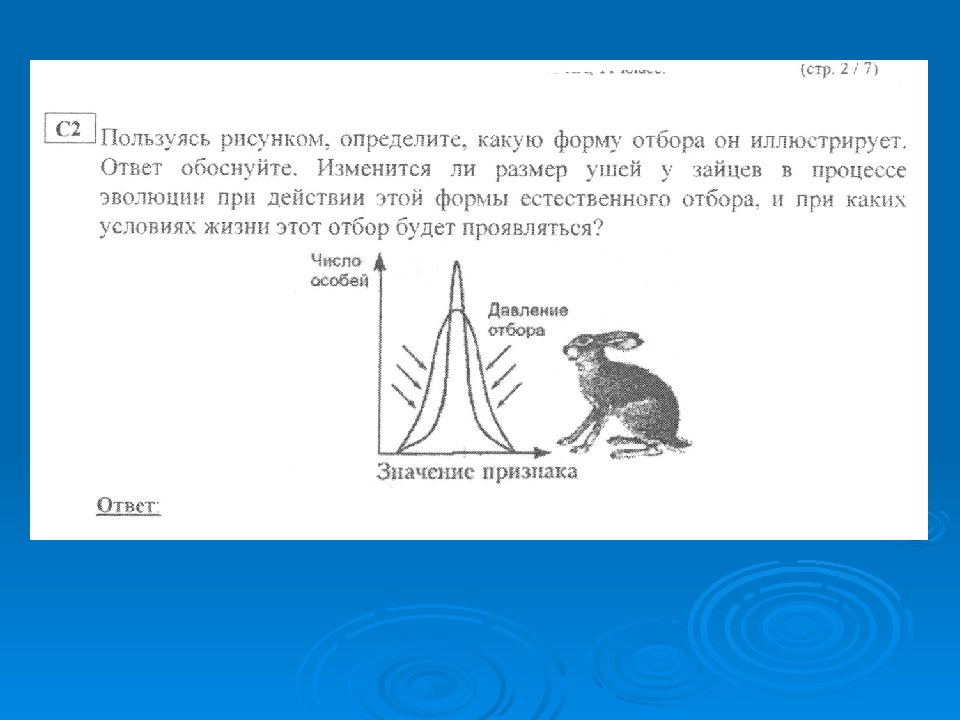 Какая форма отбора представлена на рисунке по каким признакам производился отбор голуби