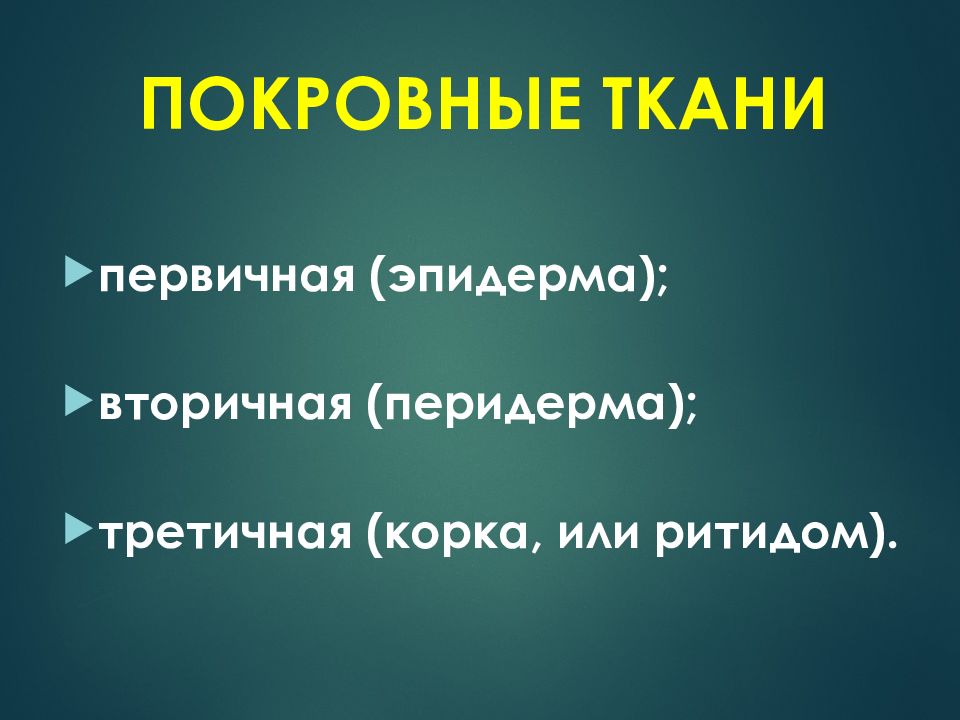 Первичная ткань. Покровная ткань первичная вторичная третичная. Покровная ткань.