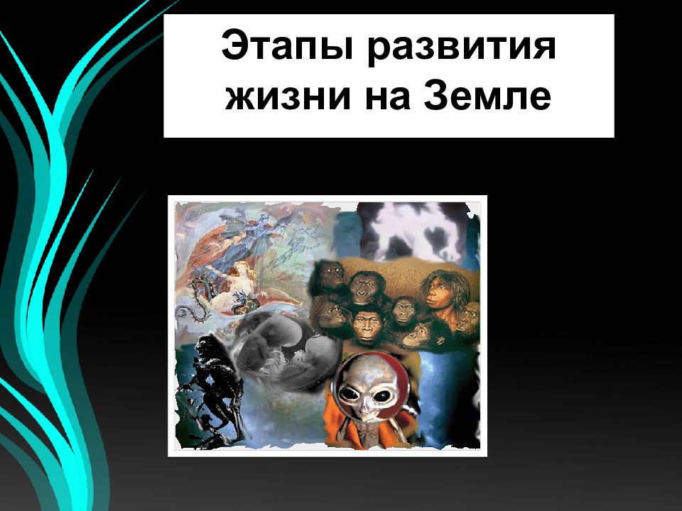 Этапы развития жизни на Земле