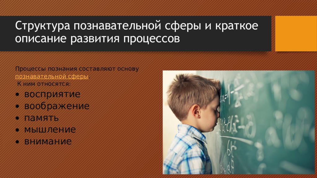 Развитие познавательных процессов. Познавательная сфера. Структура познавательной сферы. Развитие познавательной сферы кратко. Познавательная сфера это в психологии.