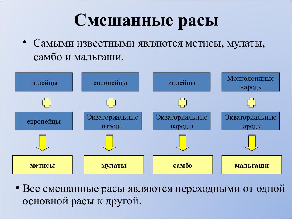 Расы 8 класс презентация