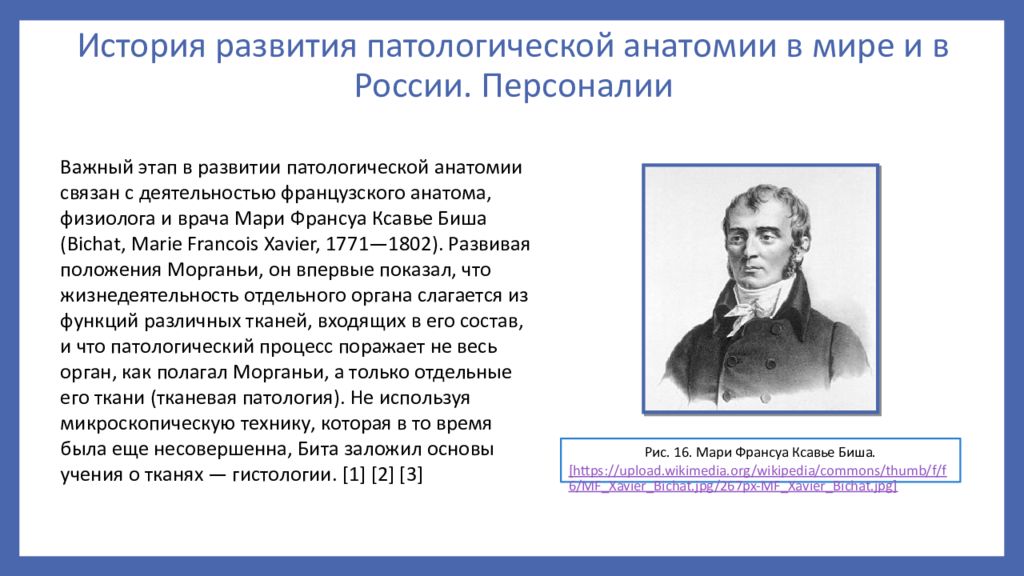 История развития патологической анатомии презентация