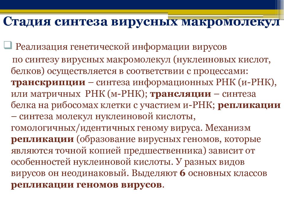 Синтез вирусного. Этапы реализации генетической информации у вирусов. Реализация генетической информации РНК - содержащих вирусов. Основные варианты реализации генетической информации вирусов:. Реализация генетического материала вируса.