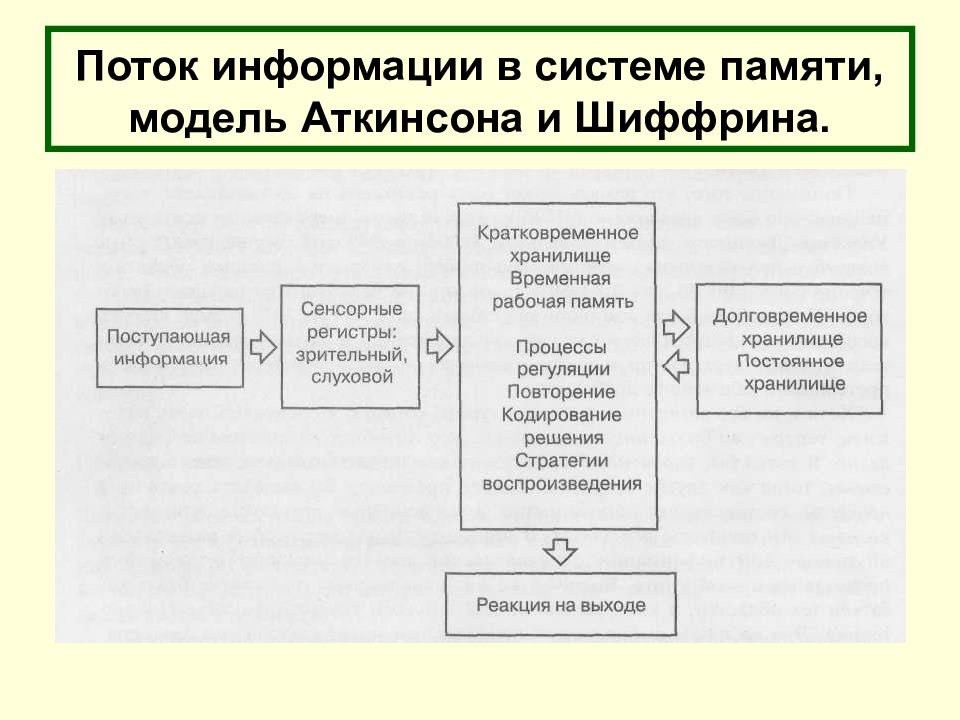 Память р. Модель Аткинсона Шиффрина. Аткинсон Шифрин модель памяти. Модель памяти р Аткинсона и р Шиффрина. Структурная модель памяти р.Аткинсона.