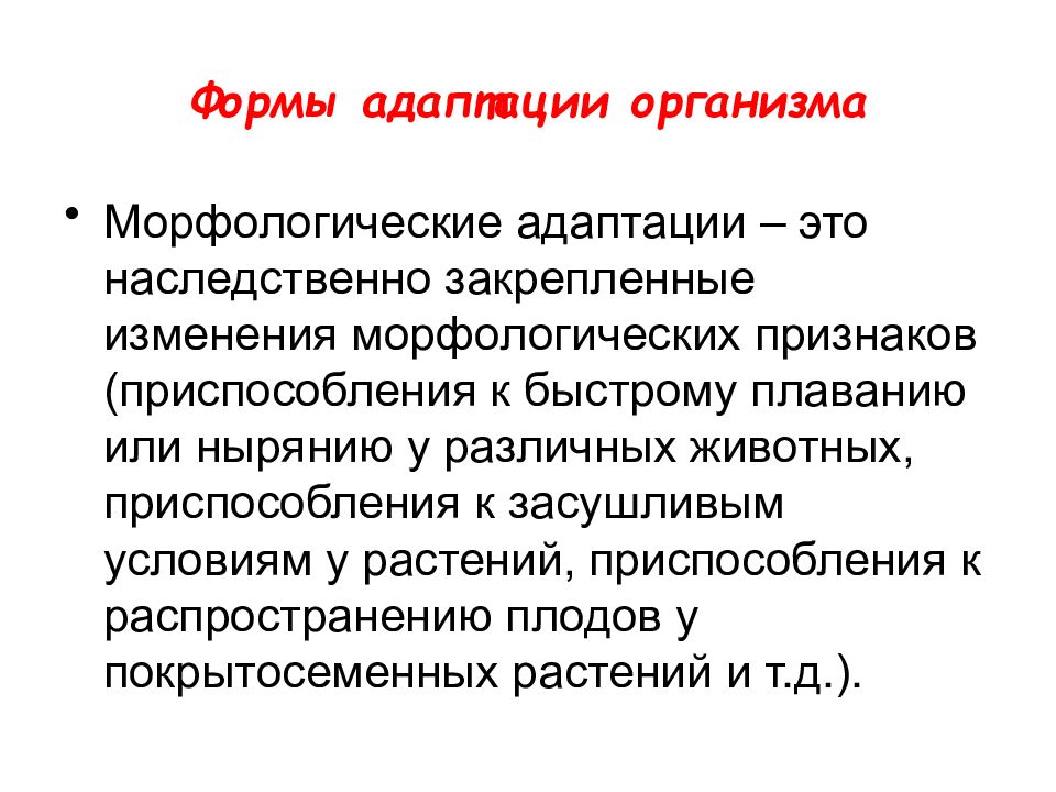 Адаптация организмов. Формы адаптации организмов. Признаки морфологической адаптации. Адаптация форма тела. Адаптация организмов признаки.