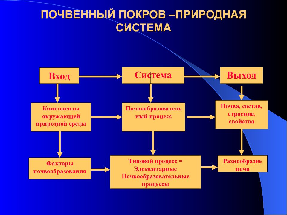 Общая схема почвообразовательного процесса