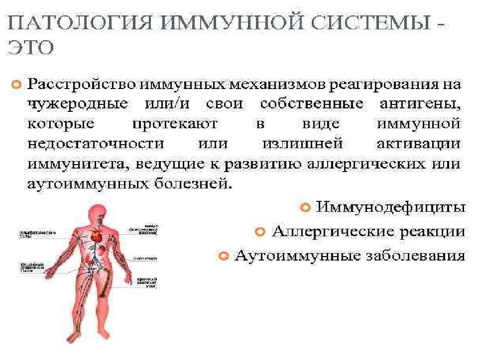 Патология иммунной системы презентация