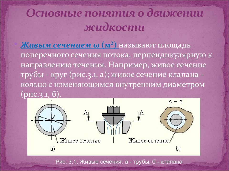 Термин жива. Понятие живого сечения жидкости. Живое сечение гидравлика. Площадь живого сечения потока. Площадь поперечного сечения потока перпендикулярная направлению.