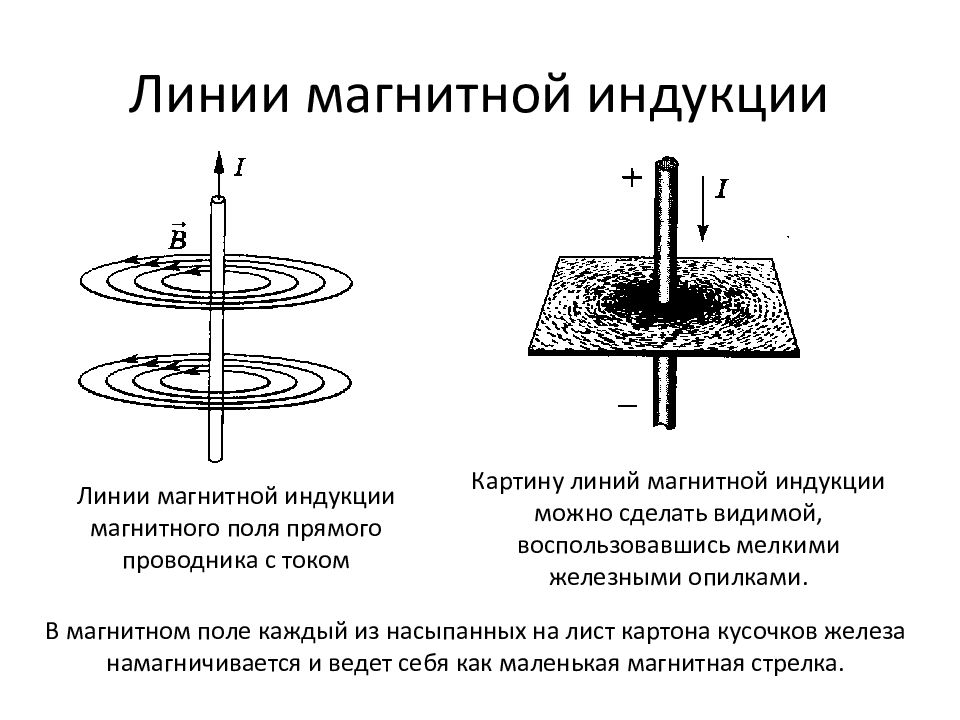 Картина магнитных линий прямого тока