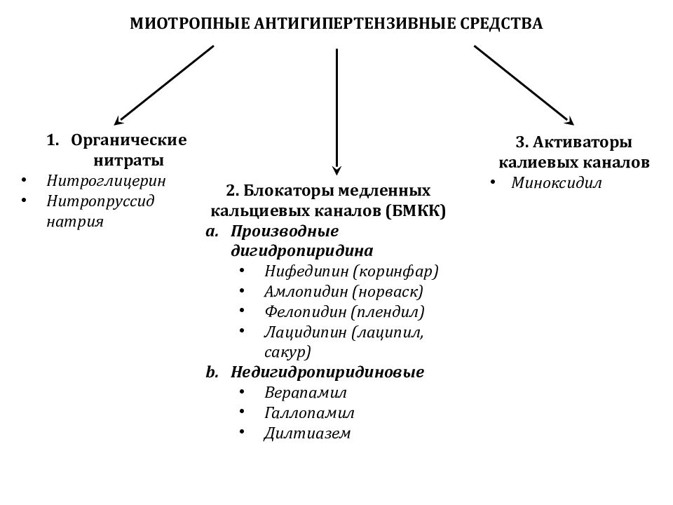 Презентация сердечно сосудистая система фармакология