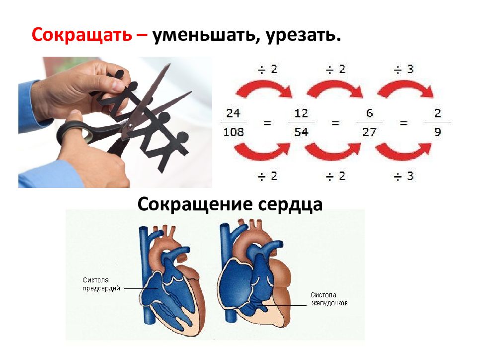 Сужено укорочено