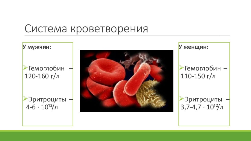Какой гемоглобин у мужчины 60 лет. Гемоглобин 160. Гемоглобин 160 у мужчин. Гемоглобин 150 у мужчин. Система кроветворения при курении.