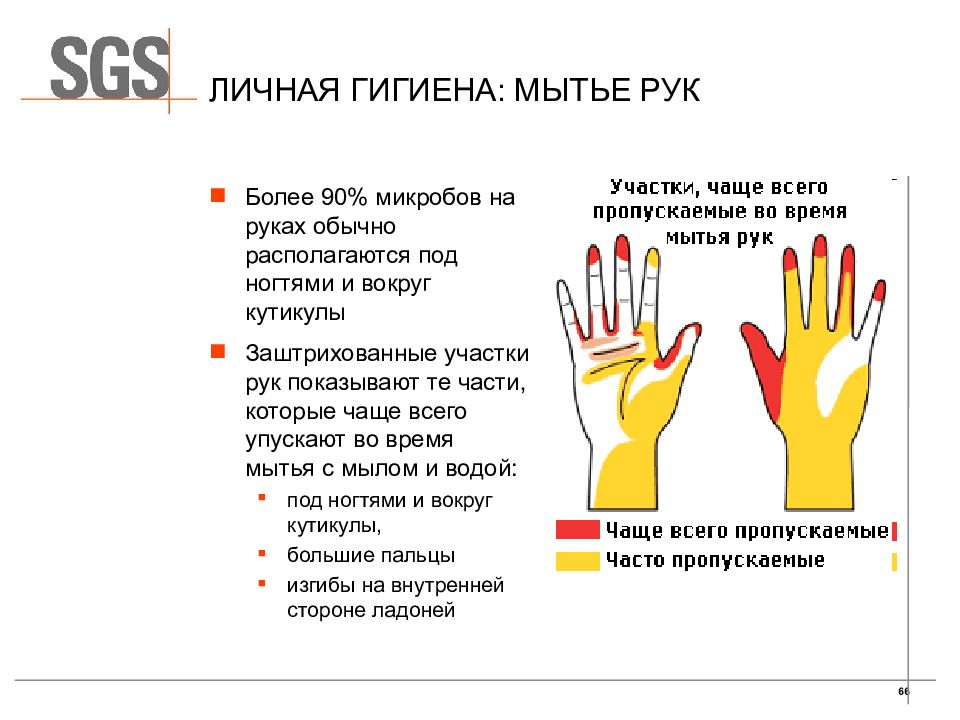 Руку чаще всего в. Статистика мытья рук. Участки часто пропускаемые при мытье рук. Наиболее загрязненные участки кожи рук. Личная гигиена мытье рук.