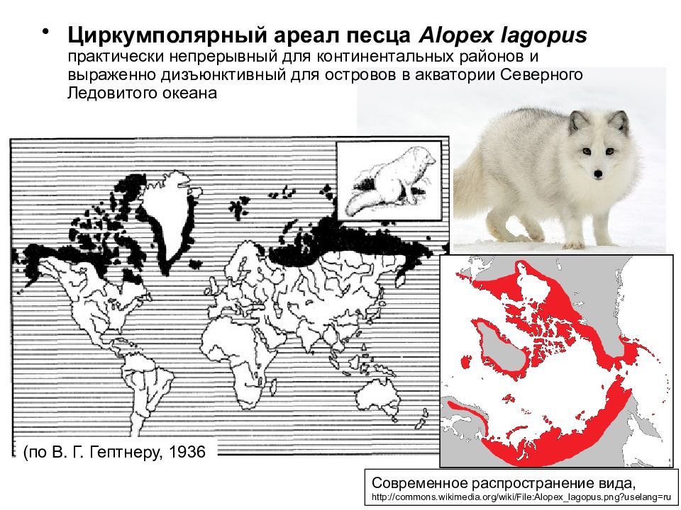 Картографирование ареалов презентация