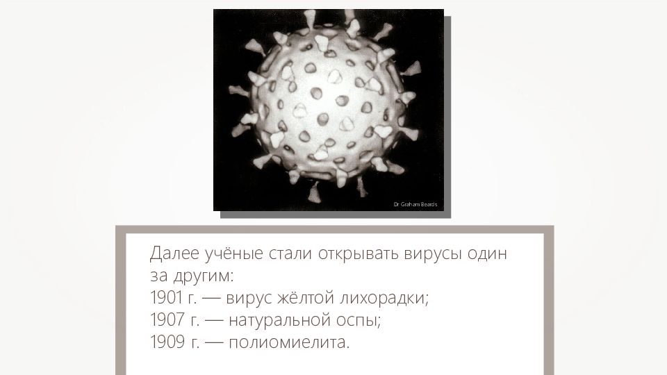 Модель вируса оспы своими руками. Какие свойства живого проявляют вирусы. Вирус желтой лихорадки кто открыл. Характеристика клетки оспы.