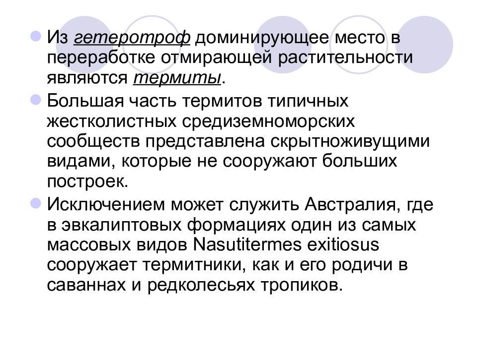 Субтропические жестколистные леса презентация