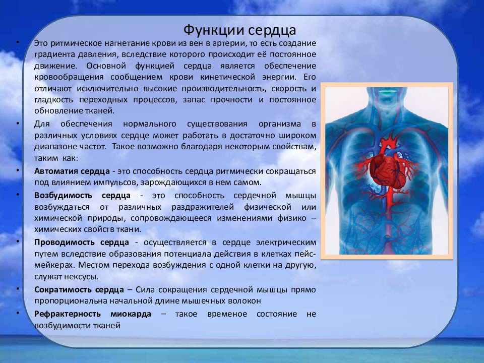 В состав какой системы входит сердце. Функции сердца. Какую функцию выполняет сердце. Функции сердца в организме. Функции сердца человека.