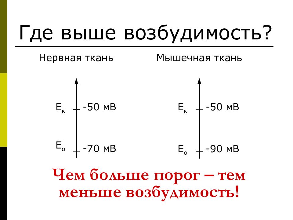 Возбудимость нерва и мышцы. Порог возбудимости нервной ткани. Возбудимость нервной ткани. Сравнение возбудимости нервной и мышечной ткани. Порог раздражения мышцы.