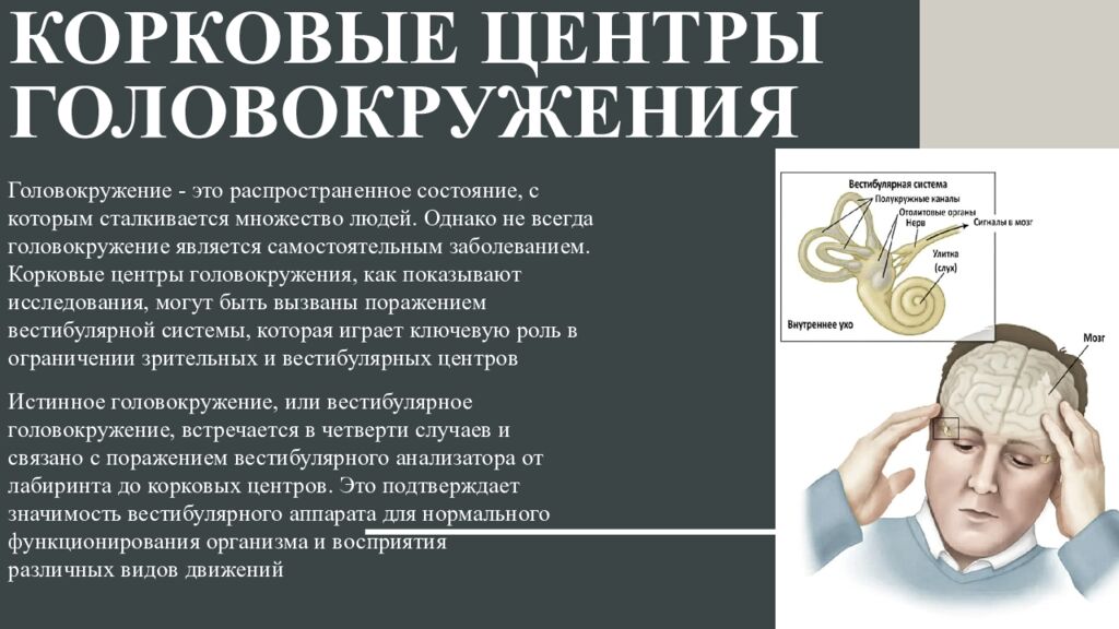 Корковые центры головокружения