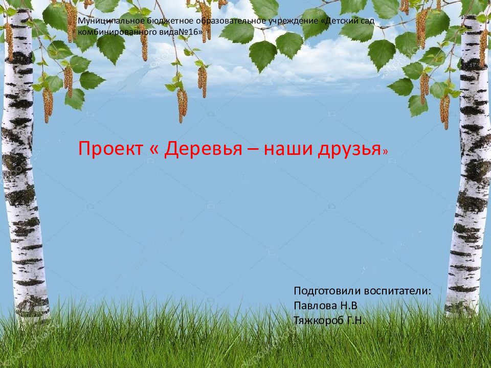 Муниципальное бюджетное образовательное учреждение «Детский сад