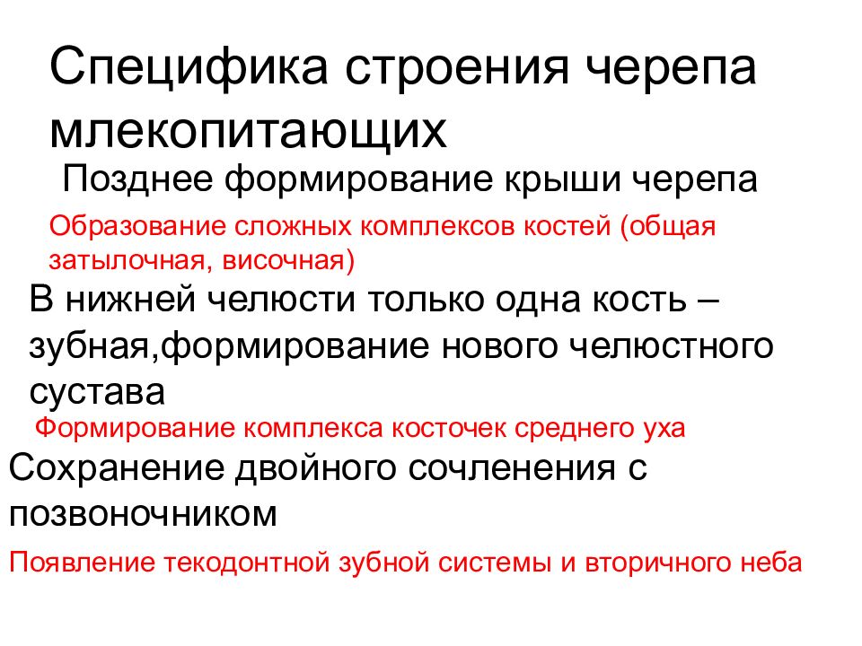 Образование млекопитающих. Приспособления выражаются в особенностях их _________ строения.. Принадлежность человека к классу млекопитающих.