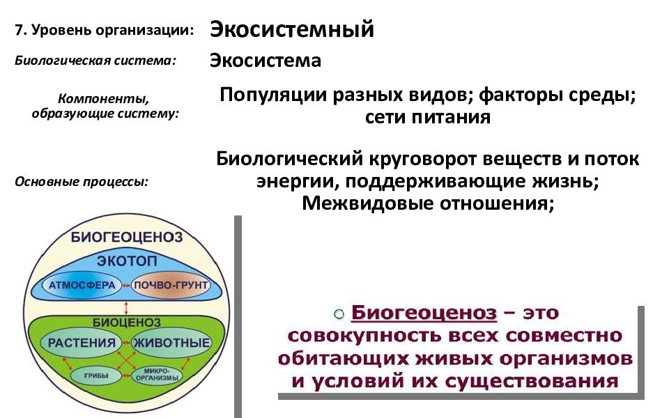 Система организации жизни. Экосистемный уровень организации. Экосистемный уровень организации жизни примеры. Компоненты образующие систему Экосистемный. Уровни организации живого Экосистемный.