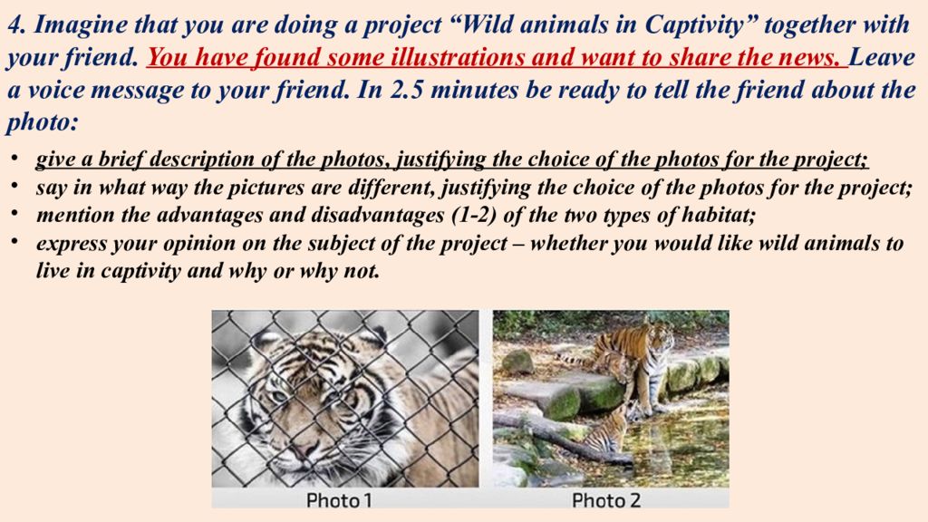 4. Imagine that you are doing a project “Wild animals in Captivity” together