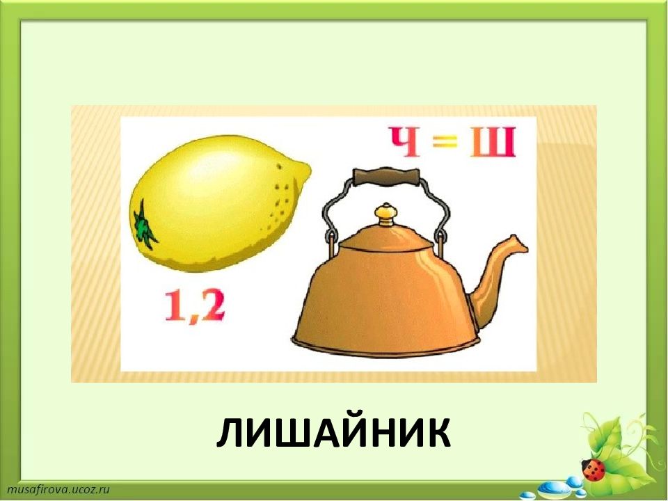 Игра викторина по биологии 7 класс презентация