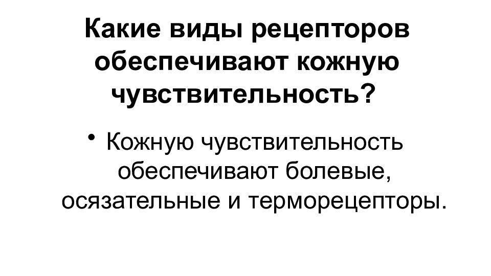 Кожную чувствительность обеспечивают. Мышечную чувствительность обеспечивают. Продолжи предложение кожная чувствительность обеспечивается.