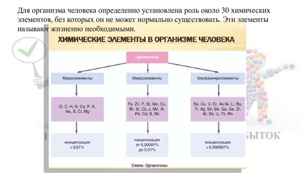 Роль химических элементов в организме человека презентация