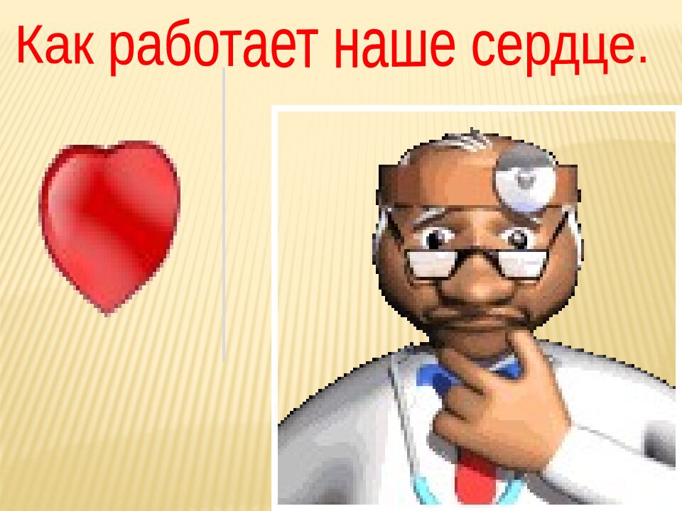 Как работает наше сердце