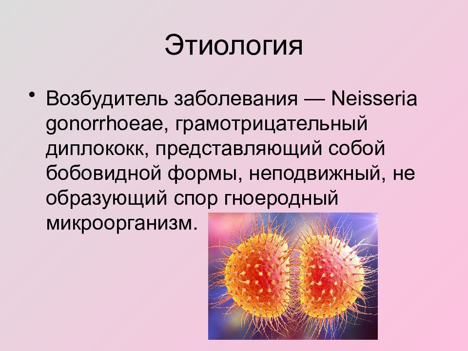 Гонорея презентация дерматовенерология