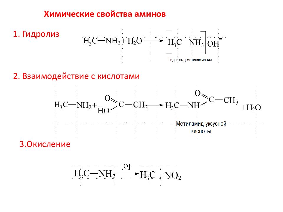 Азотосодержащее органическое соединение амины презентация