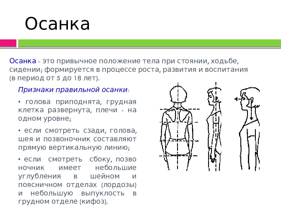 Привычное положение тела человека. Осанка. Нарушение осанки. Профилактика нарушения осанки. Распространённость нарушения осанки у детей.