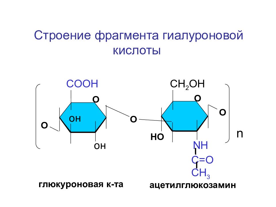 Гиалуроновая кислота схема. Гиалуроновая кислота строение дисахаридного фрагмента. Строение гиалуроновой кислоты биохимия. Строение гиалуроновой кислоты. Гиалуроновая кислота формула структурная биохимия.