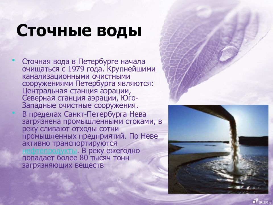 Доклад о состоянии окружающей среды. Экология Ленинградской области презентация. Состояние окружающей среды в Ленинградской области. Сточные воды СПБ И Ленинградской области. Состояние окружающей среды в Санкт-Петербурге доклад.