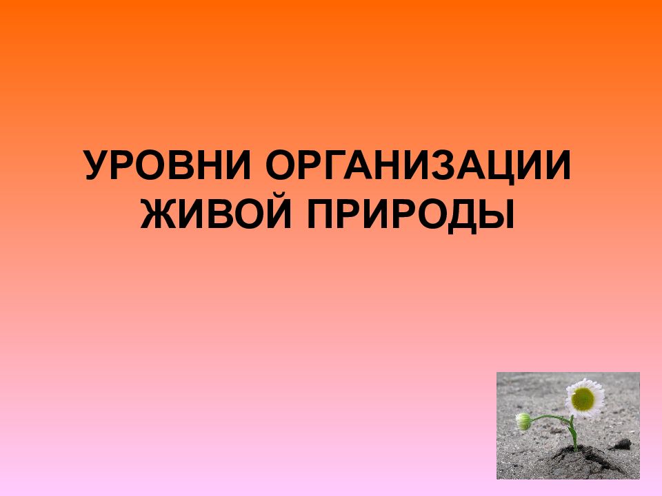 Компания жив. Уровни организации живой природы.