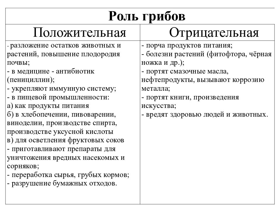 Грибы