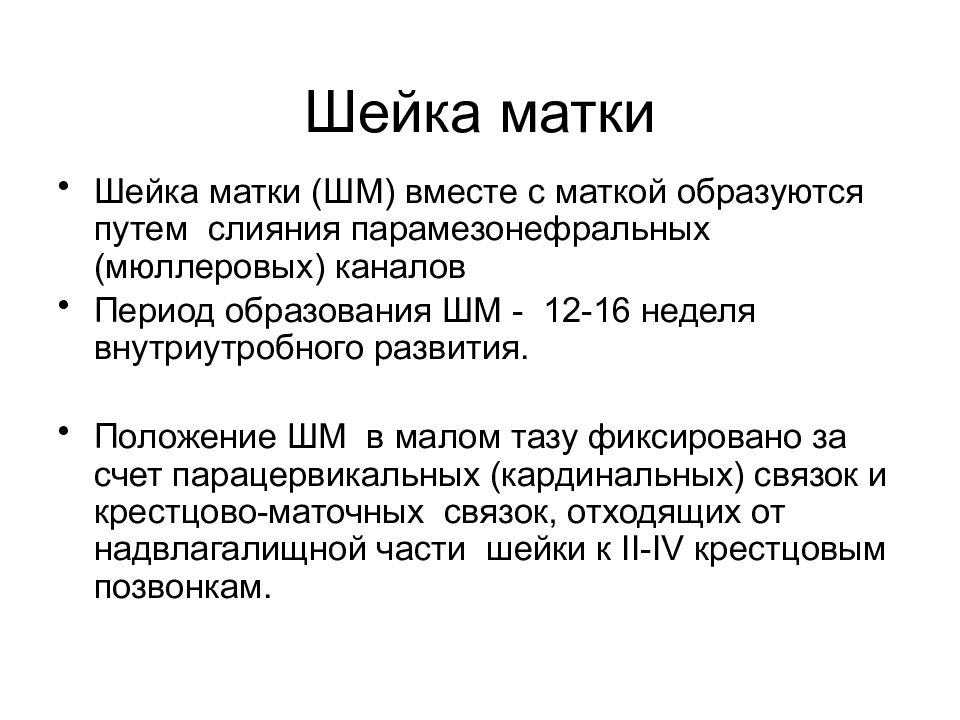 Период образования. Анатомия и физиология шейки матки.