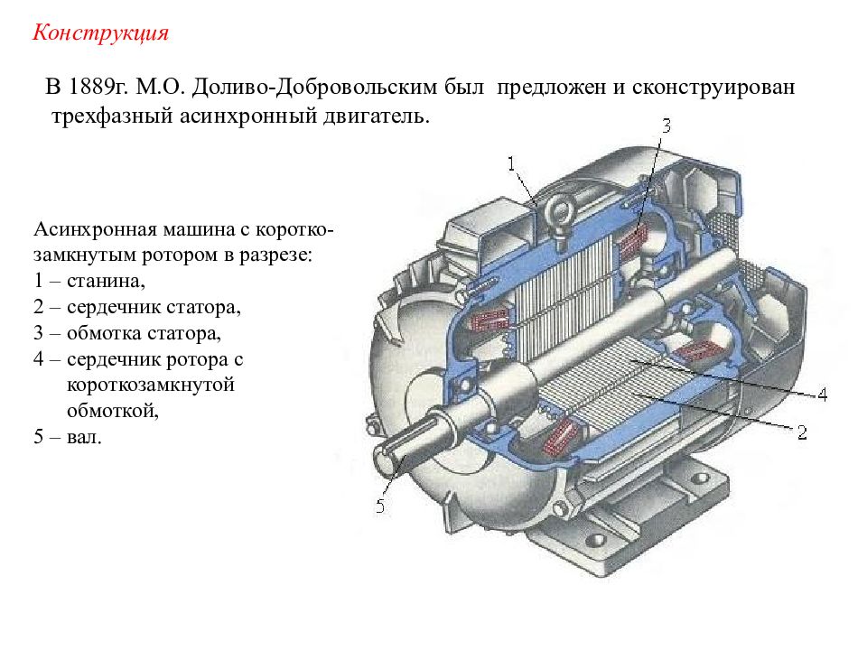 Асинхронный двигатель с замкнутым ротором. Конструкция 3 фазного асинхронного двигателя. Обмотка статора асинхронного двигателя с короткозамкнутым ротором. Конструкция двигателя с короткозамкнутым ротором. Асинхронный двигатель Доливо Добровольского.