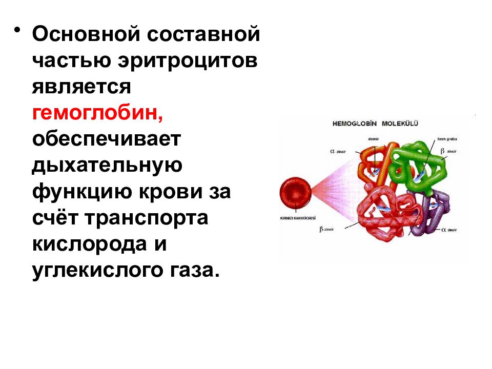 Кровь состав свойства и функции презентация