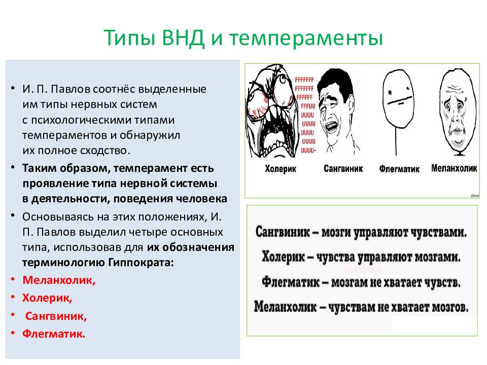 Физиология высшей нервной деятельности презентация